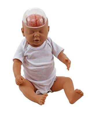 Shaken Baby Syndrome Demonstratie Model