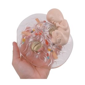 What Mommy Does ... Baby Does™ Model